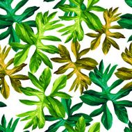 tropical leaves