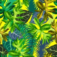 tropical leaves N3