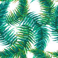 exotic tropical leaves