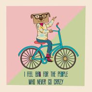 Hipster poster with nerd dog riding bike