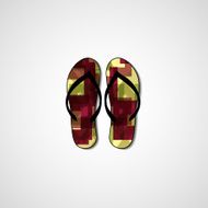 Abstract illustration on flip flops N69