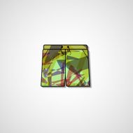 Abstract illustration on shorts N75