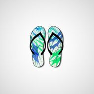 Abstract illustration on flip flops N73