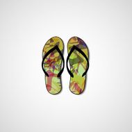 Abstract illustration on flip flops N79