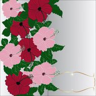 Vector invitation greeting card with hibiscus