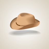 Brown Hat N9