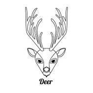 animal design N5