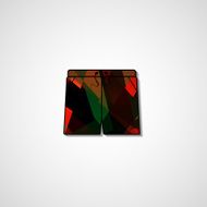 Abstract illustration on shorts N91