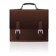 Briefcase N13