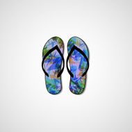 Abstract illustration on flip flops N92