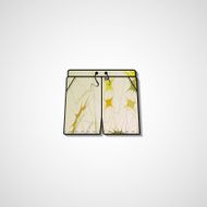 Abstract illustration on shorts N99