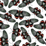 seamless pattern with butterflies N30
