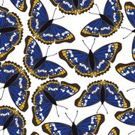 seamless pattern with butterflies N31