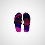 Abstract illustration on flip flops N100