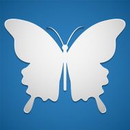 vector butterfly icon or background