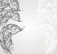 Feather background N5