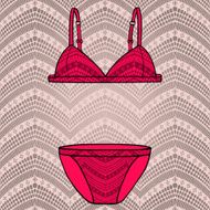 Hand drawn vector sexy lingerie set N2