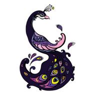 Peacock Decorative Vector illustration N2