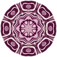 Lace ornament watercolor marble round doily ornamental flower N17