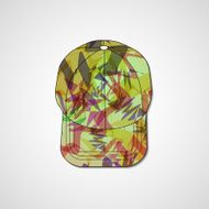 Abstract illustration on peaked cap N97