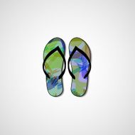 Abstract illustration on flip flops N107