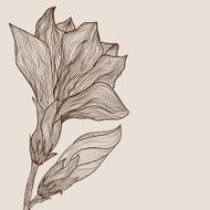 Vector hand drawn abstract flower in vintage style