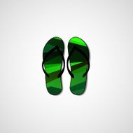 Abstract illustration on flip flops N115