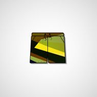 Abstract illustration on shorts N121