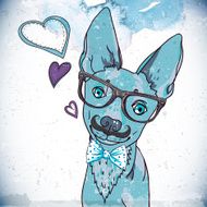 Hipster background with a dog