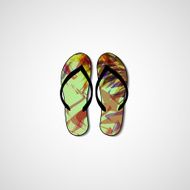 Abstract illustration on flip flops N122