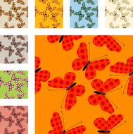 butterfly pattern N11