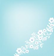 lace fabric background N7