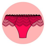 Lacy sexy vector panty