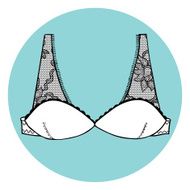 Lacy sexy vector bra N5