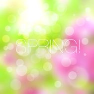 Spring abstract background