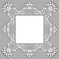 lace fabric background N9