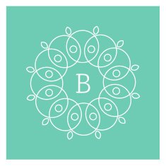 symmetric monogram B