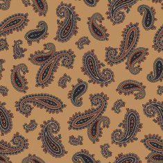 Paisley pattern N231
