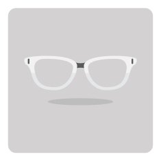 Vector of flat icon glasses N3