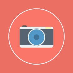 Camera Icon N42
