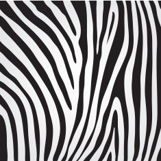 vector zebra texture N3