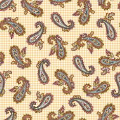 Paisley pattern N240