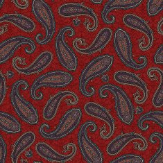Paisley pattern N242