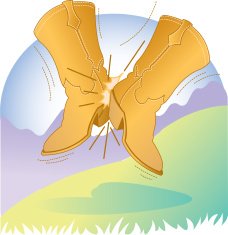 Cowboy Boots N9