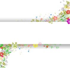 Beauty Flower spring background for you design