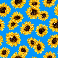 Sunflower pattern N5