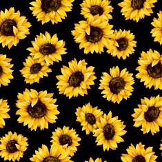 Sunflower pattern N10