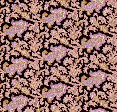 Paisley pattern N245