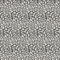 Vector Illustration pattern black and white animal background N4