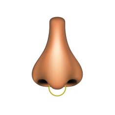 Human nose with golden piercing